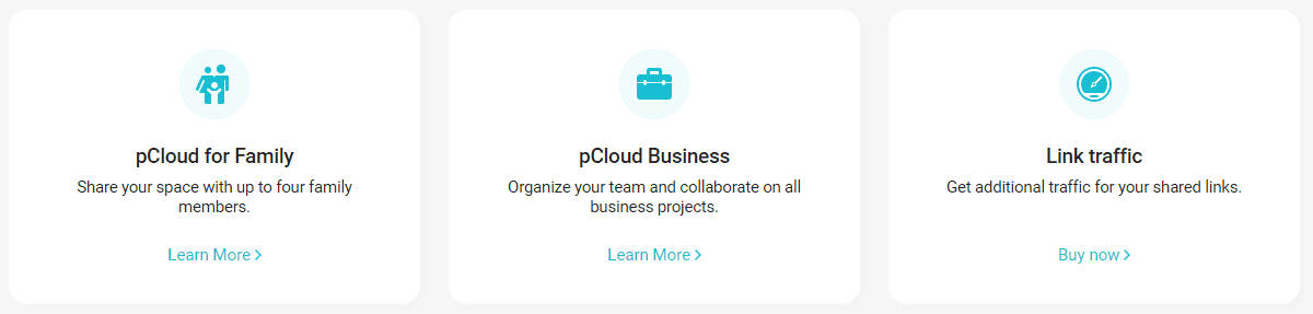 pCloud Other Plans for More Functionalities